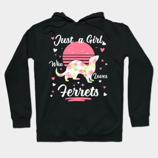 Ferre Ferret Just A Girl Who Loves Ferrets Hoodie